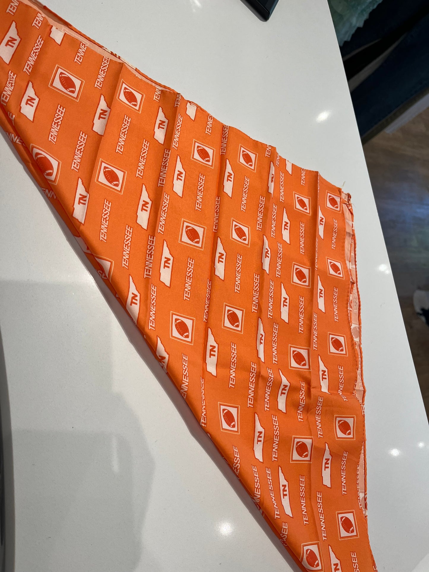 Tennessee Bandana