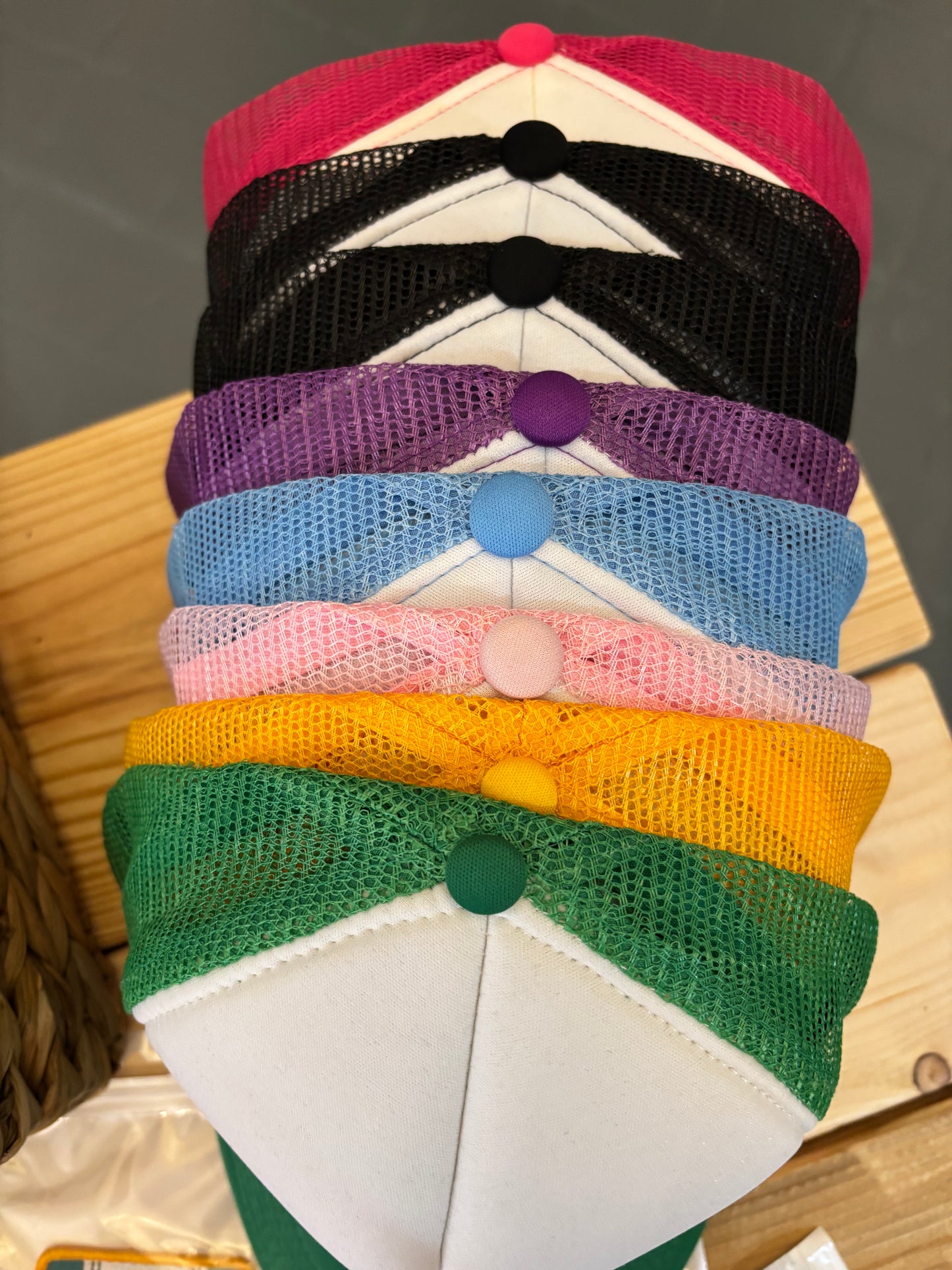 Trucker Mesh Hat Plain