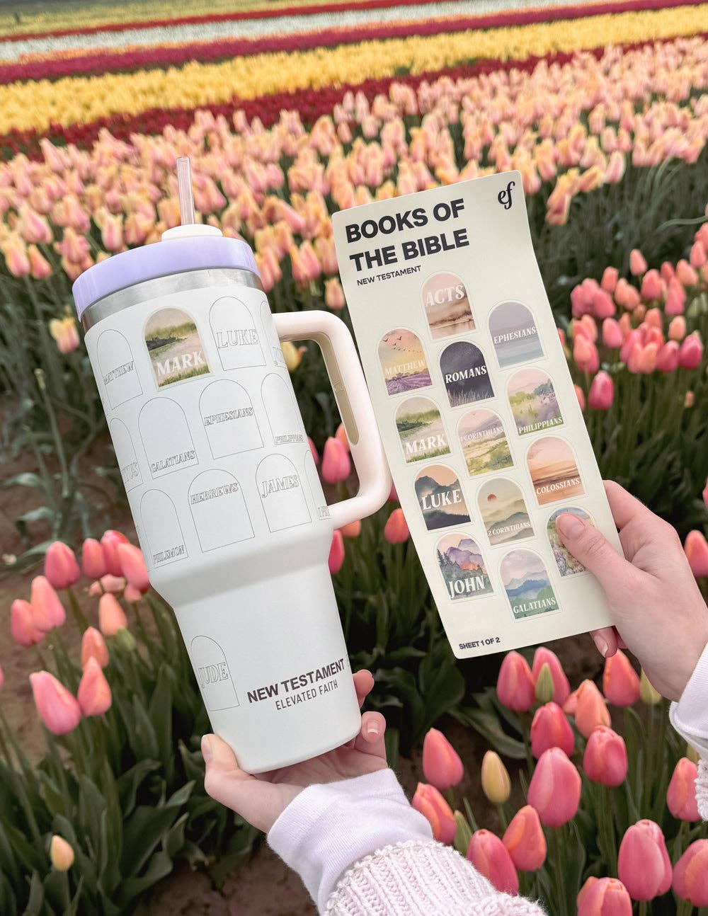 NT Bible 40 oz Tumbler - Cream
