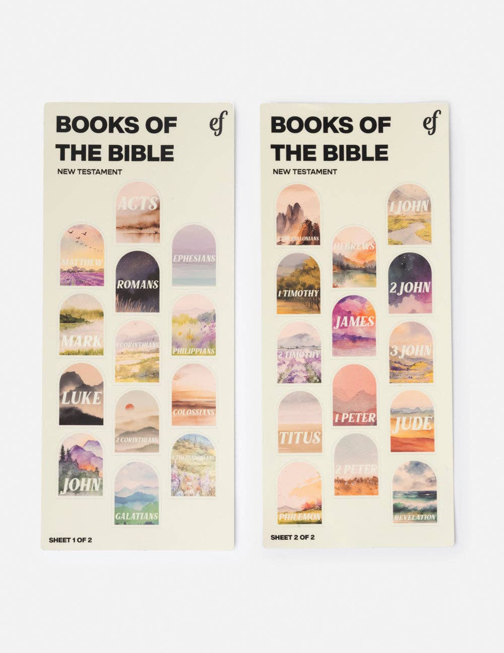 NT Bible 40 oz Tumbler - Cream